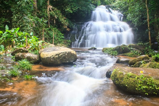 rainforest waterfall and rocks covered with moss