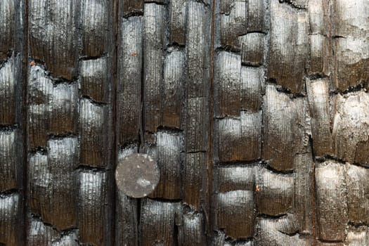 A forest fence post burned beyond recognition by fire