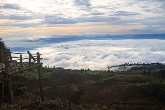 sea of fog with forests as foreground on mountain