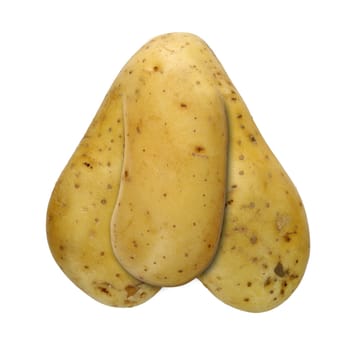 detail of the bizarre potato - macro - digitally altered