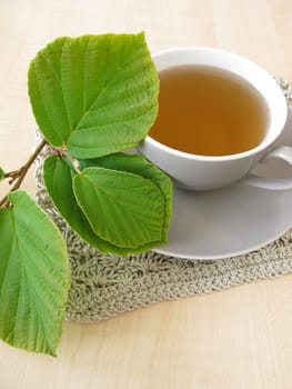 Hamamelis Tea