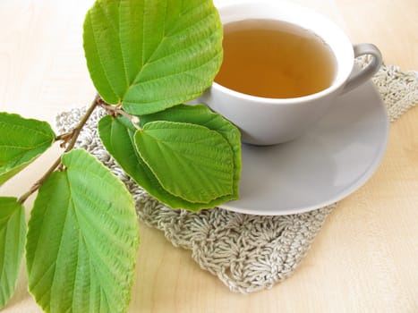 Hamamelis Tea