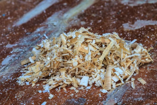 Background of wet sawdust after the chop off of a tree