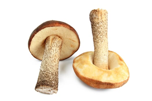 Mushroom exposed from white back gurgling (birch mushroom - Leccinum scabrum - syn. Boletus scaber)