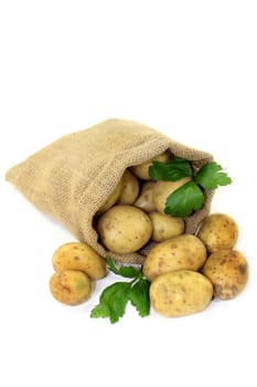 raw potatoes with parsley in a jute sack