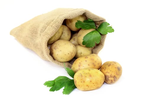 raw potatoes with parsley in a jute sack