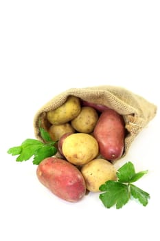 raw potatoes with parsley in a jute sack