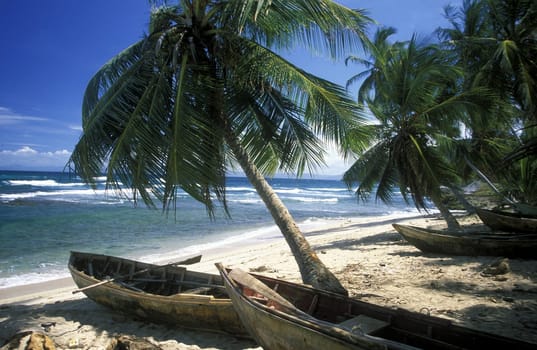 a Beach at the Village of Las Terrenas on Samanaon in The Dominican Republic in the Caribbean Sea in Latin America.