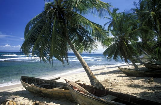 a Beach at the Village of Las Terrenas on Samanaon in The Dominican Republic in the Caribbean Sea in Latin America.