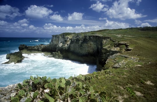 The coast at the Village of Punta Cana in the Dominican Republic in the Caribbean Sea in Latin America.
