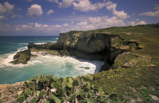 The coast at the Village of Punta Cana in the Dominican Republic in the Caribbean Sea in Latin America.