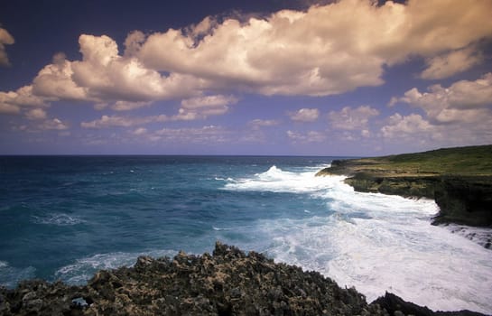The coast at the Village of Punta Cana in the Dominican Republic in the Caribbean Sea in Latin America.