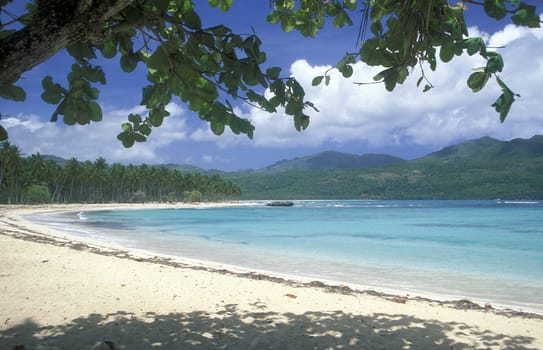 a Beach at the Village of Las Terrenas on Samanaon in The Dominican Republic in the Caribbean Sea in Latin America.