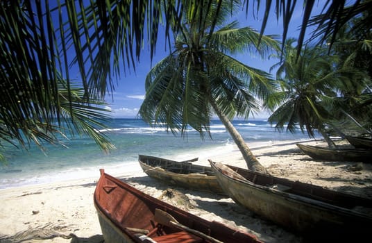 a Beach at the Village of Las Terrenas on Samanaon in The Dominican Republic in the Caribbean Sea in Latin America.
