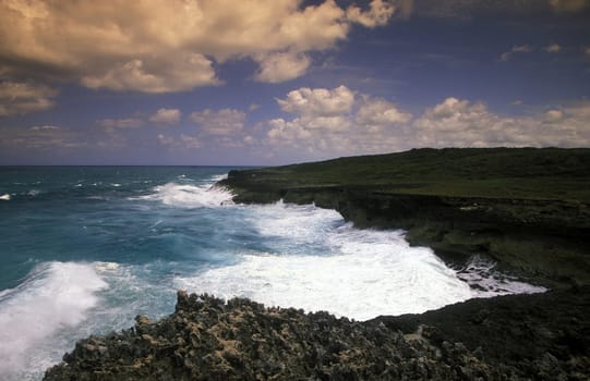 The coast at the Village of Punta Cana in the Dominican Republic in the Caribbean Sea in Latin America.