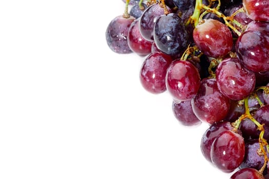 Cluster of blue grapes with water drops isolated on white Background