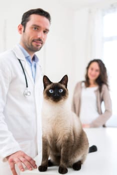 View of a Young attractive woman and her cat at veterinary