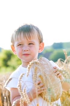 Boy with the bread over your head in the mature grain with the sun at your back for dream atmosphere