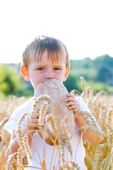 Boy with the bread over your head in the mature grain with the sun at your back for dream atmosphere