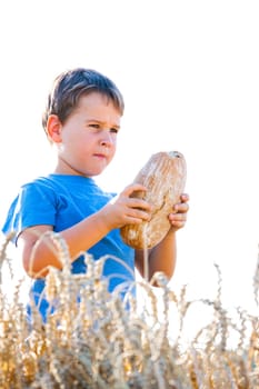 Boy with the bread over your head in the mature grain with the sun at your back for dream atmosphere