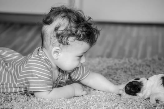 Portrait of a 7 months old baby boy at home.