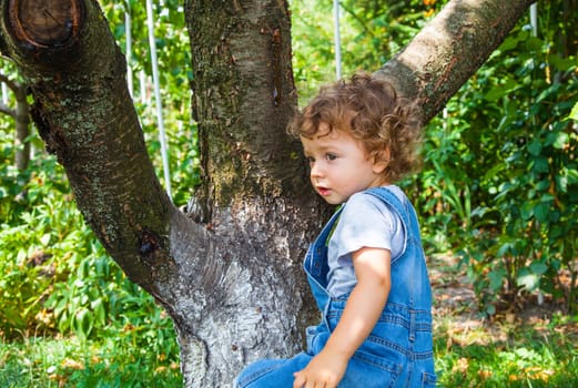 Portrait of 1 year old baby boy trying to climb a cherry tree.