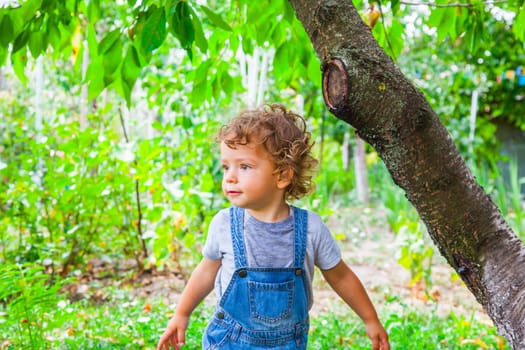 Portrait of 1 year old baby boy in the garden under a cherry tree.