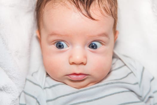 Baby boy of 2 months old at home on the sofa.