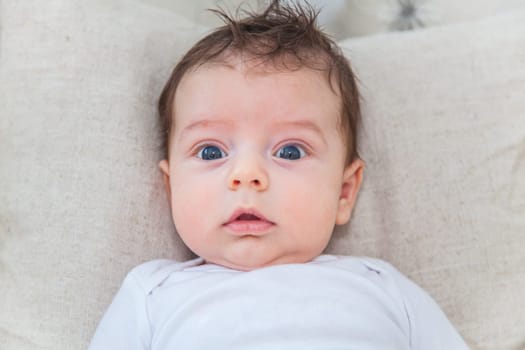 Baby boy of 2 months old at home on the sofa.