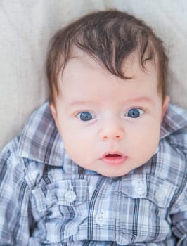 Portrait of a 2 months old baby boy at home.