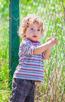 Portrait of 1 year old baby boy exploring the surroundings of his yard.