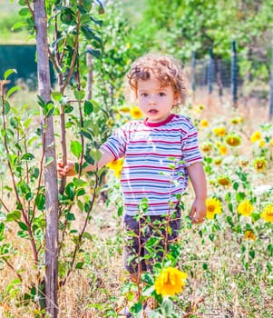 Portrait of 1 year old baby boy exploring the surroundings of his yard.