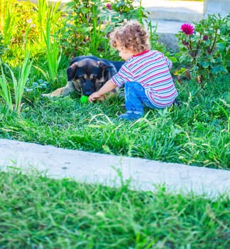 Portrait of 1 year old baby boy playing with his dog friend.