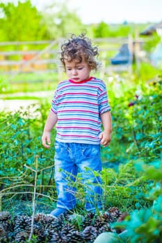 Portrait of 1 year old baby boy playing with pine cones.