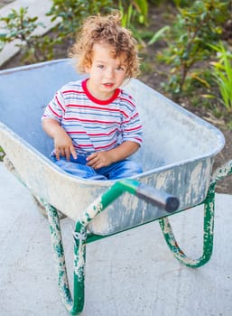 Portrait of 1 year old baby boy playing with a wheel barrow.