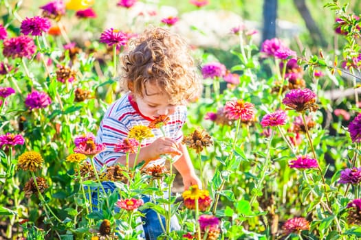 Portrait of 1 year old baby boy admiring the flowers in the garden on a sunny afternoon.