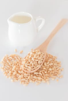Organic pet wheat grass seeds, stock photo
