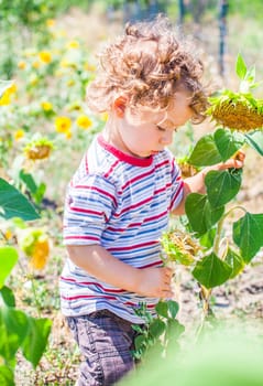 Portrait of 1 year old baby boy exploring the surroundings of his yard.