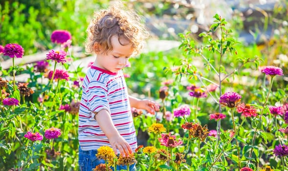 Portrait of 1 year old baby boy admiring the flowers in the garden on a sunny afternoon.