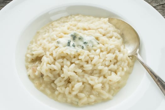 Spoon with risotto and Gorgonzola cheese