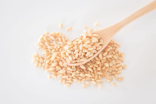 Organic pet wheat grass seeds, stock photo