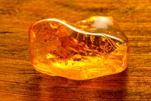 Amber with insect