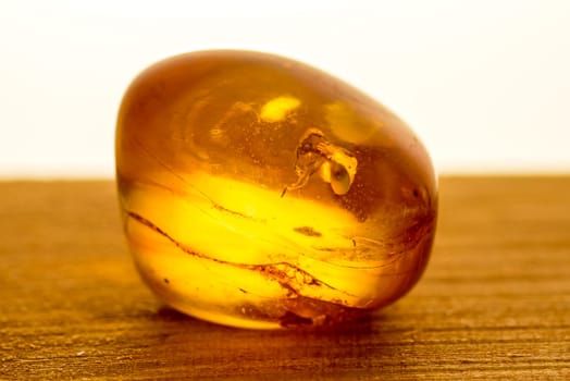 Amber with insect