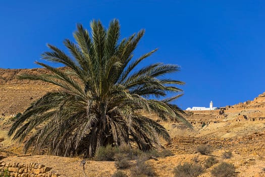 in the distance the JemaaKadima Mosque