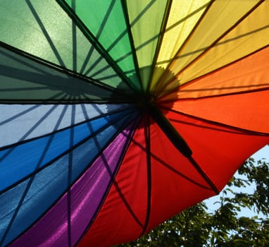 Parasol