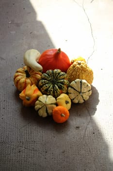 Pumpkin