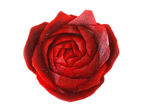 Rose made of beet