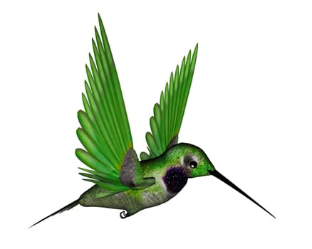 Black hummingbird flying isolated in white background - 3D render
