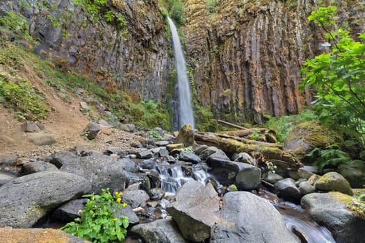 Dry Creek Falls Along Pacific Crest Trail in Columbia River Gorge National Scenic Forest in Oregon