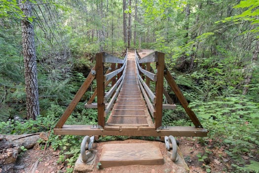 Suspension Bridge Over Falls Creek in Gifford Pinchot National Forest Hiking Trail in Washington State Front View